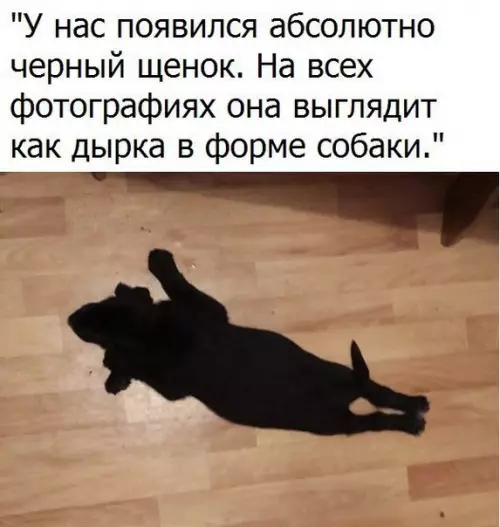 Смешная картинка №272177