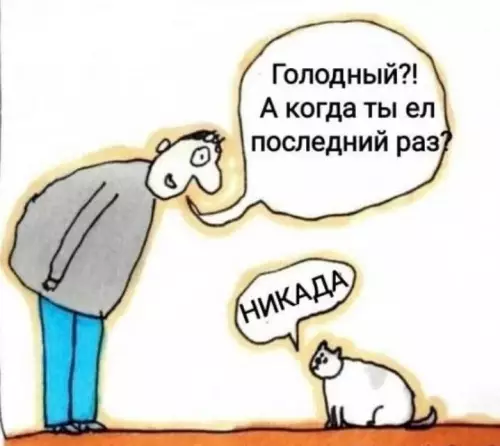 Смешная картинка №721270 Коты 