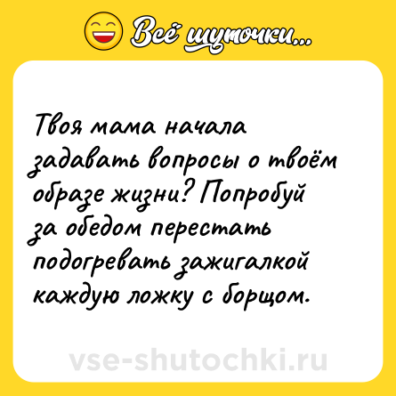 Шутка: Твоя мама начала задавать вопросы о твоём образе жизни? Попробуй за обедом перестать подогревать зажигалкой каждую ложку с борщом.