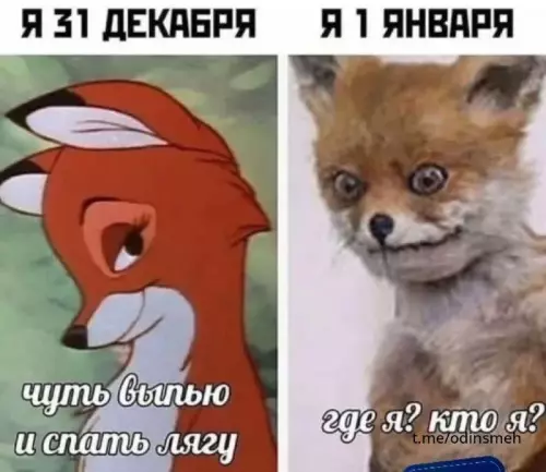 Смешная картинка №670295