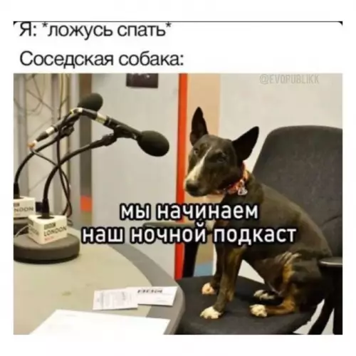 Смешная картинка №680582