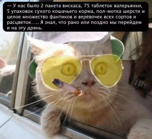 Смешная картинка №221193