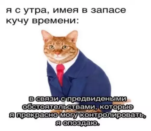 Смешная картинка №718533 каждый день