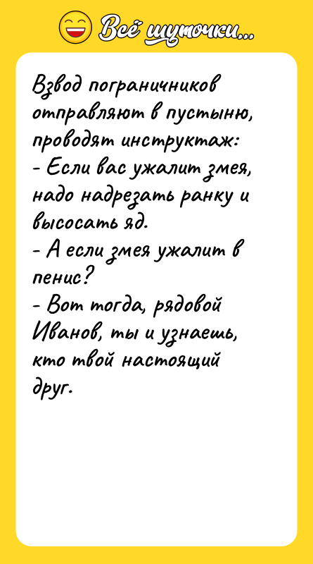 Взвод пограничников отправляют в пустыню, проводят инструктаж: - Если вас