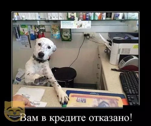 Смешная картинка №324495
