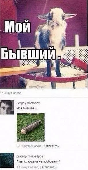 Смешная картинка №255358