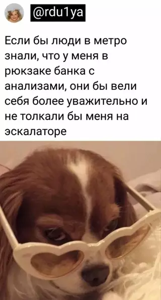 Смешная картинка №649946