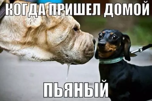 Смешная картинка №298374