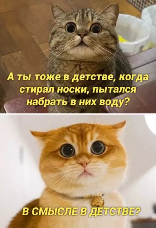 Смешная картинка №665004
