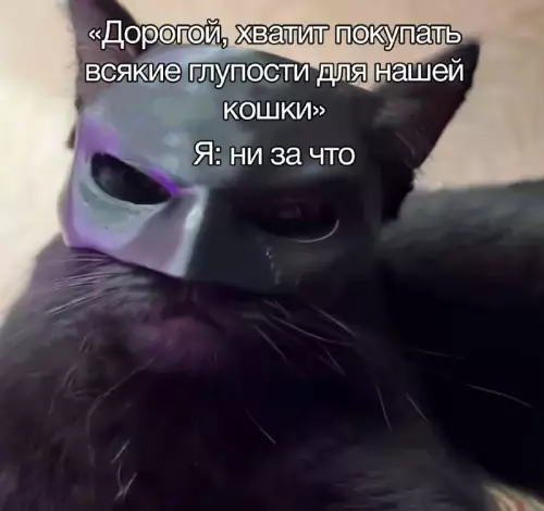 Смешная картинка №730601 Нельзя Коты