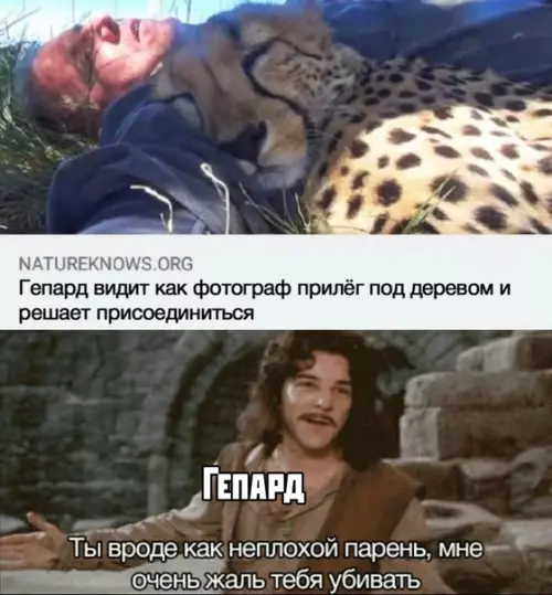 Смешная картинка №395704