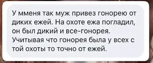 Смешная охота на ежей