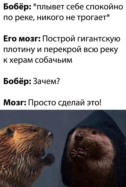 Смешная картинка №547308