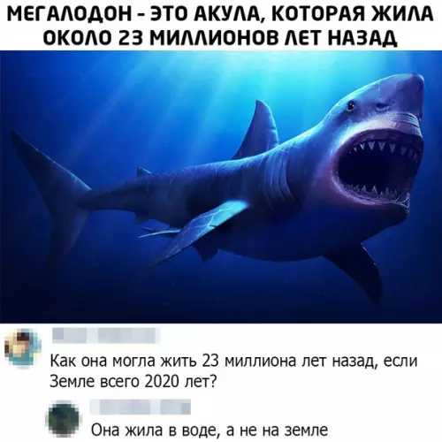 Смешная картинка №492574