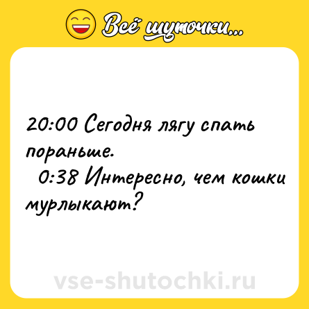 Шутка: 20:00 Сегодня лягу спать пораньше. <br>  0:38 Интересно, чем кошки мурлыкают?