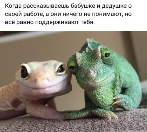 Смешная картинка №238183