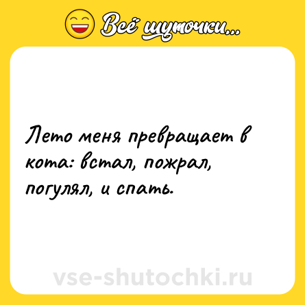 Шутка: Лето меня превращает в кота: встал, пожрал, погулял, и спать.