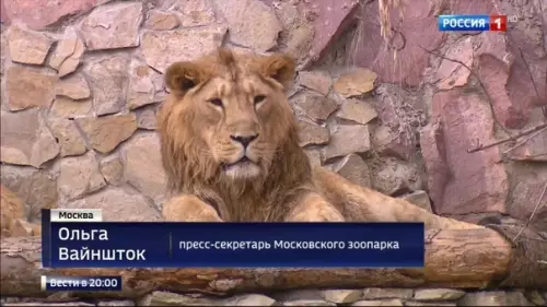 Смешная картинка №309926 Здpавствуйте, Oльга