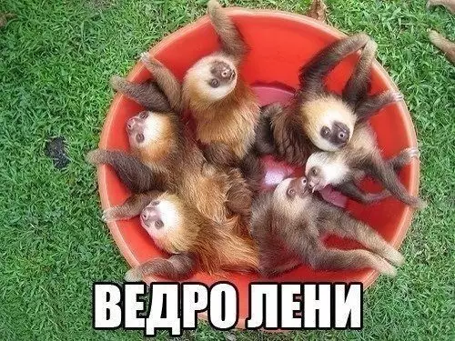 Смешная картинка №201915