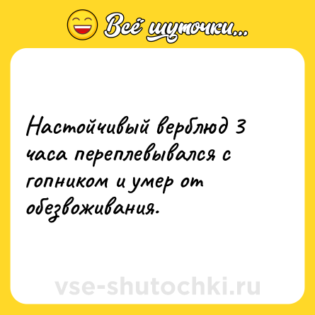 Шутка: Настойчивый верблюд 3 часа переплевывался с гопником и умер от обезвоживания.
