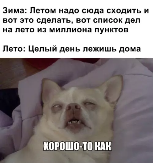 Смешная картинка №361850