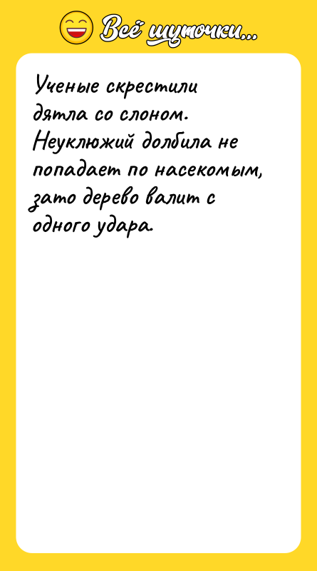 Ученые скрестили дятла со слоном. Неуклюжий долбила не попадает по