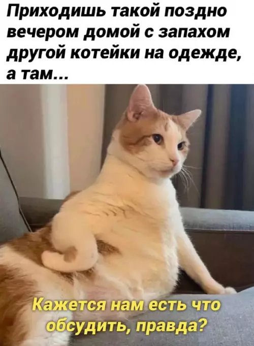 Смешная картинка №664506