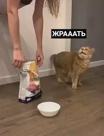 Смешная картинка №407648 Психанула