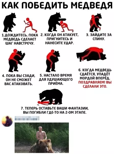 Смешная картинка №491368 медведь