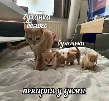 Смешная картинка №772883