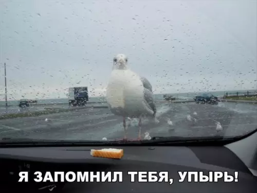 Смешная картинка №190713