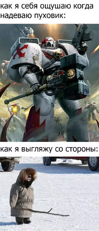 Смешная картинка №667088