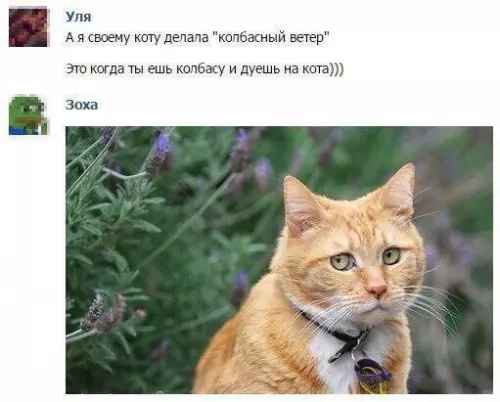 Смешная картинка №185436