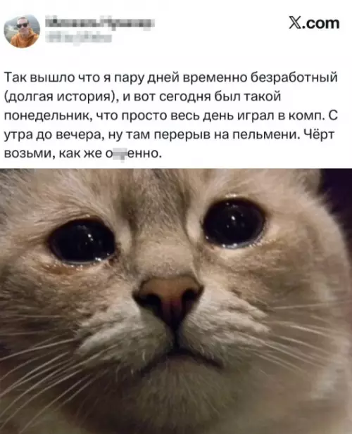 Смешная картинка №801796