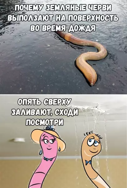 Смешная картинка №372540