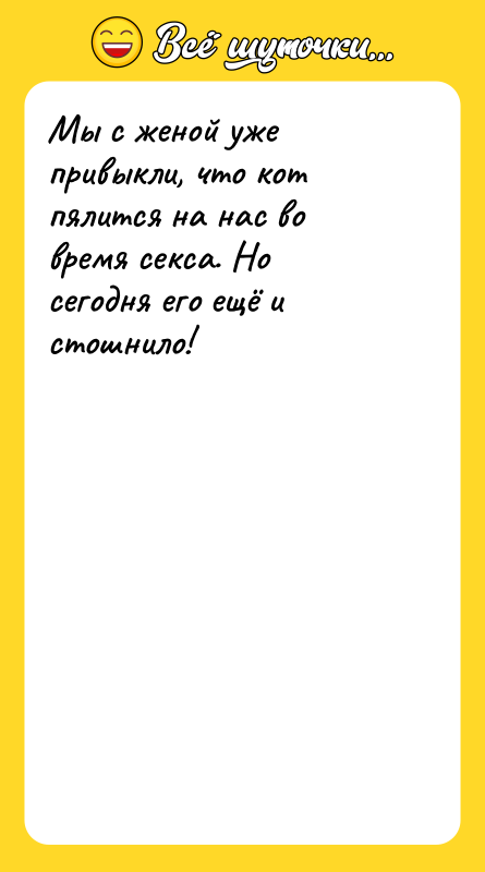 Мы с женой уже привыкли, что кот пялится на нас