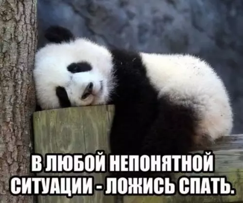 Смешная картинка №309982