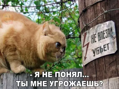 Смешная картинка №424148
