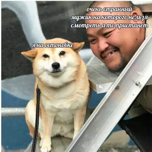 Смешная картинка №555225 Типичная ситуация