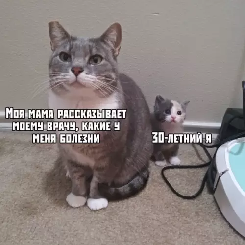 Смешная картинка №395216