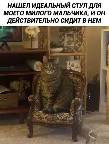 Смешная картинка №748926 Идеально 