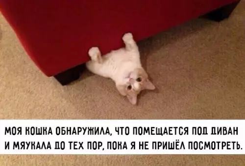 Смешная картинка №176989
