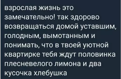 Смешная картинка №275598