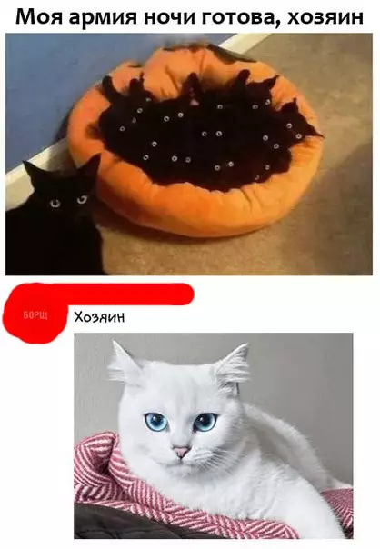 Смешная картинка №274848