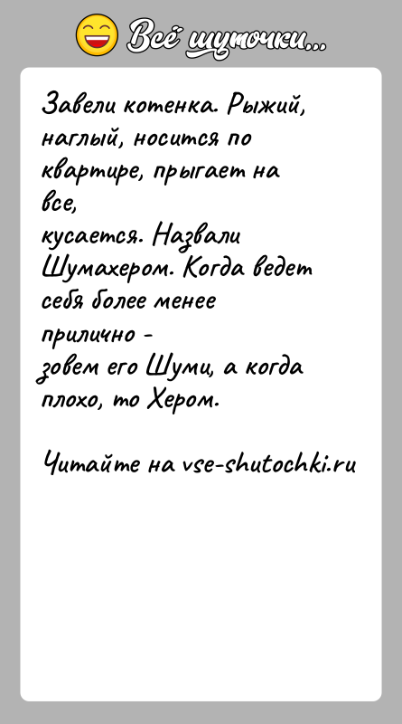 История: Завели котенка. Рыжий, наглый, носится по квартире, прыгает на все,кусается. Назвали Шумахером. Когда ведет себя более менее прилично -зовем его