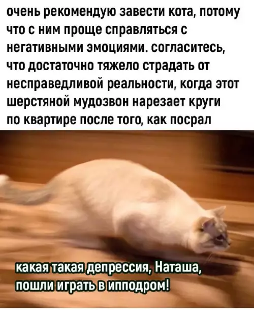 Смешная картинка №709832
