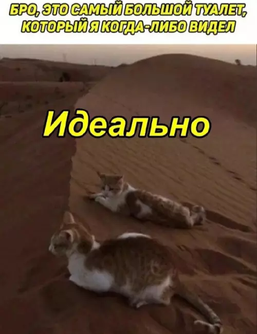 Смешная картинка №677695
