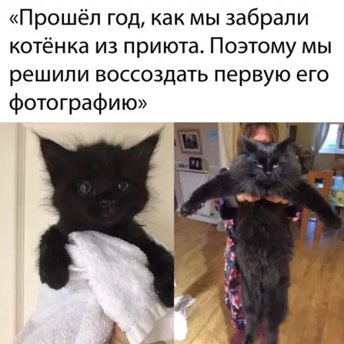 Смешная картинка №485820