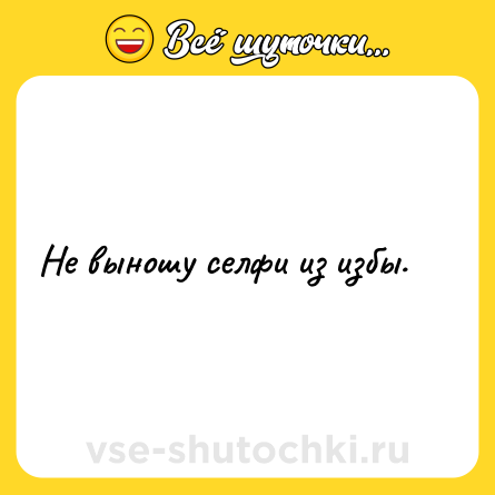 Шутка: Не выношу селфи из избы.