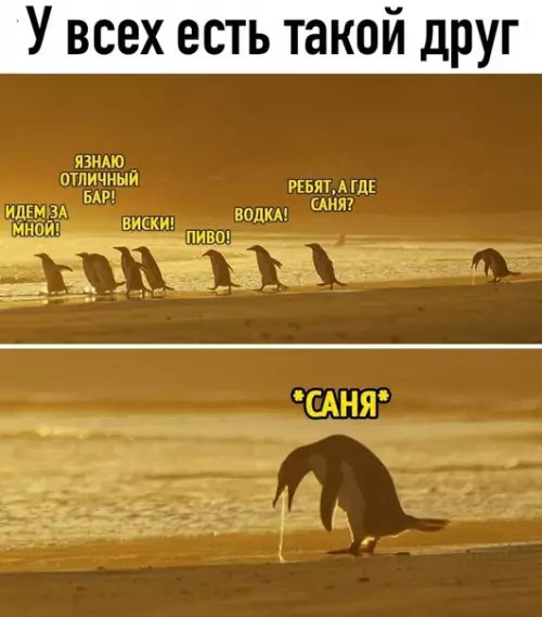 Смешная картинка №529101 Hacтpoeниe: Caня